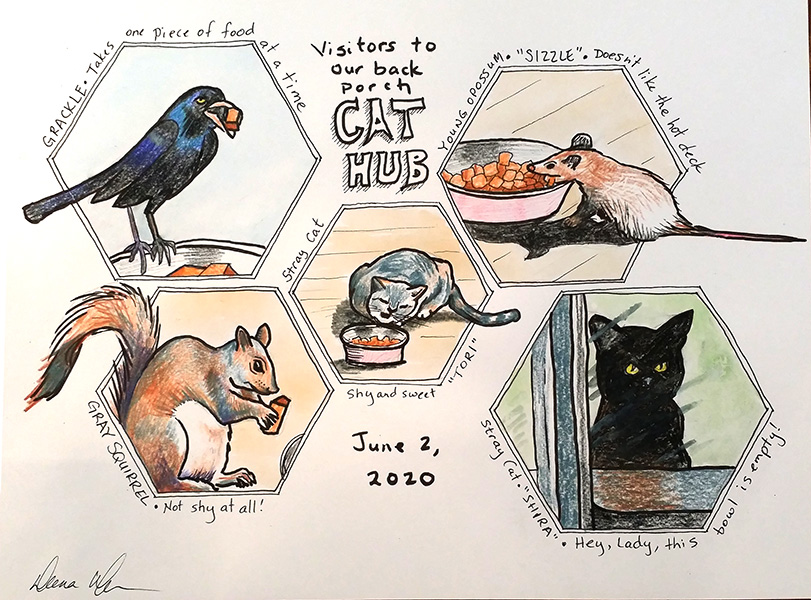 Artwork by Deena Warner about the real-life Cat Hub. More info.